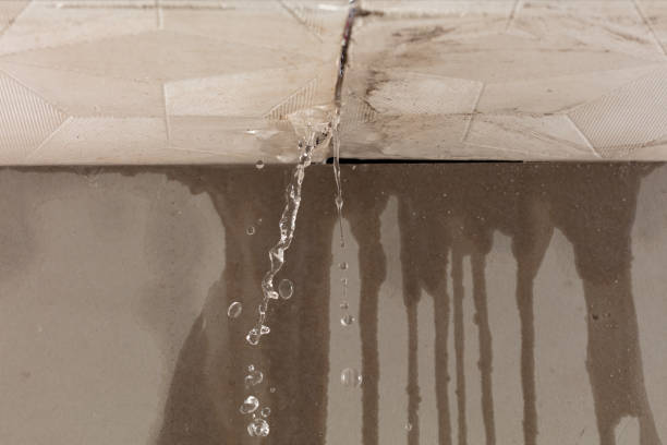 Professional Sewage Cleanup technician working in Union Grove, WI